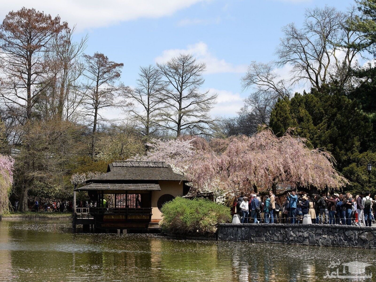 باغ گیاه شناسی بروکلین