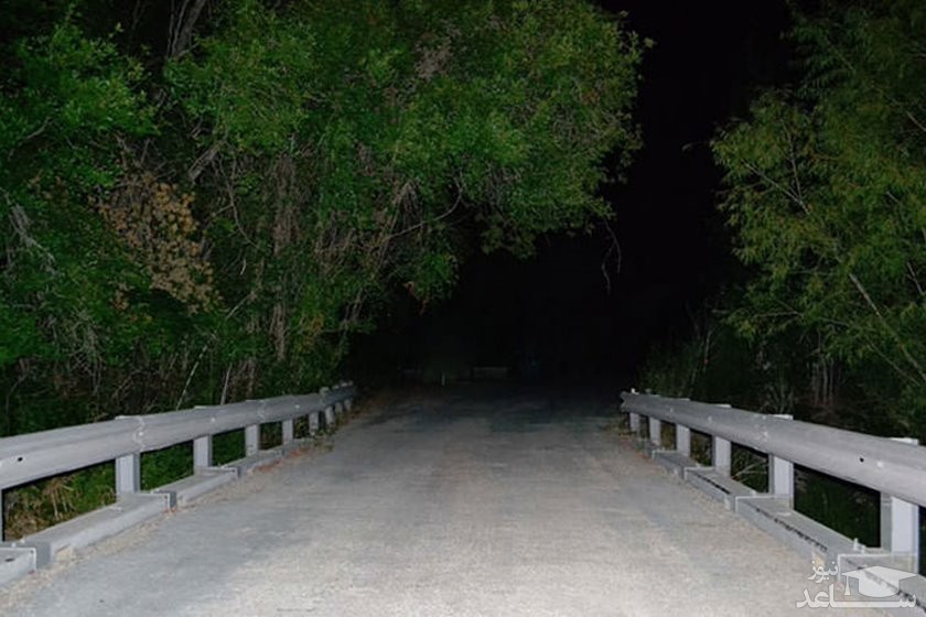 پل دانکی لیدی Donkey Lady