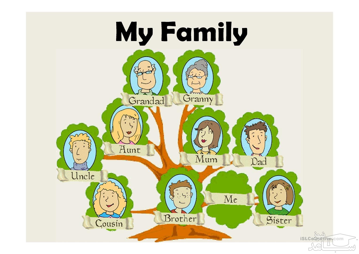 Английский язык дерево проект. My Family Tree 3 класс проект. Семейное дерево. Семейное дерево на английском. Моя семья дерево.