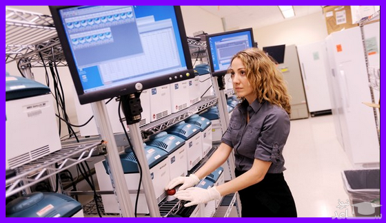 پردیس ثابتی