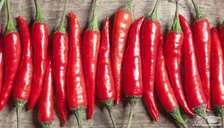 آشنایی با خاصیت درمانی فلفل چیلی Capsicum annuum