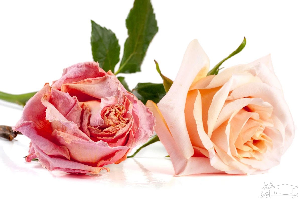 روش های زیباتر کردن واژن بدون عمل جراحی