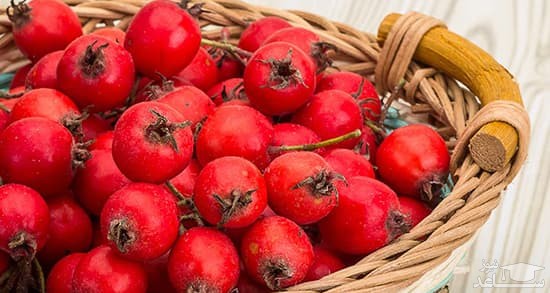 با فواید و مضرات زالزالک بیشتر آشنا شوید