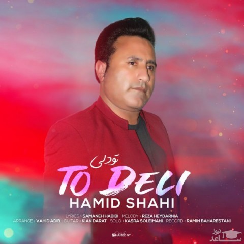 دانلود آهنگ تو دلی از حمید شاهی