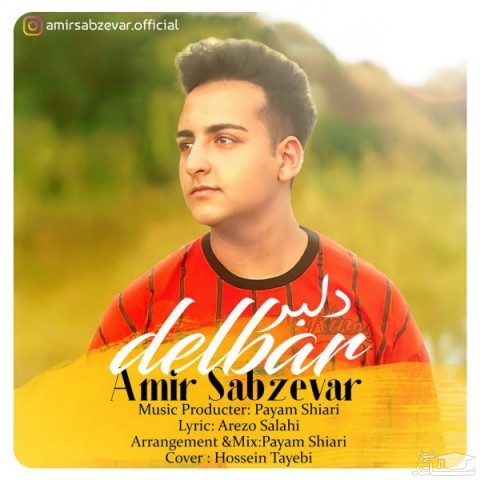 دانلود آهنگ دلبر از امیر سبزوار