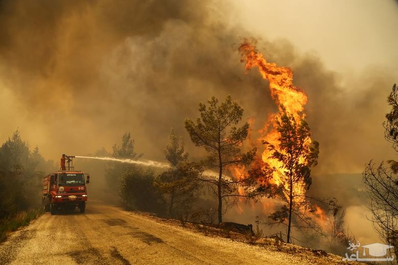 آتش سوزی جنگلی در ترکیه