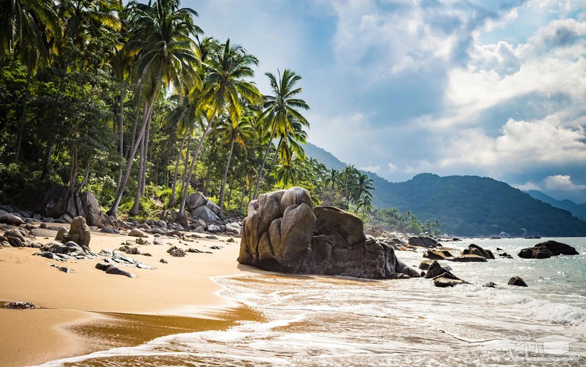 جزایر قناری