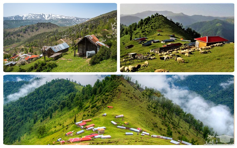 ییلاق ماسال