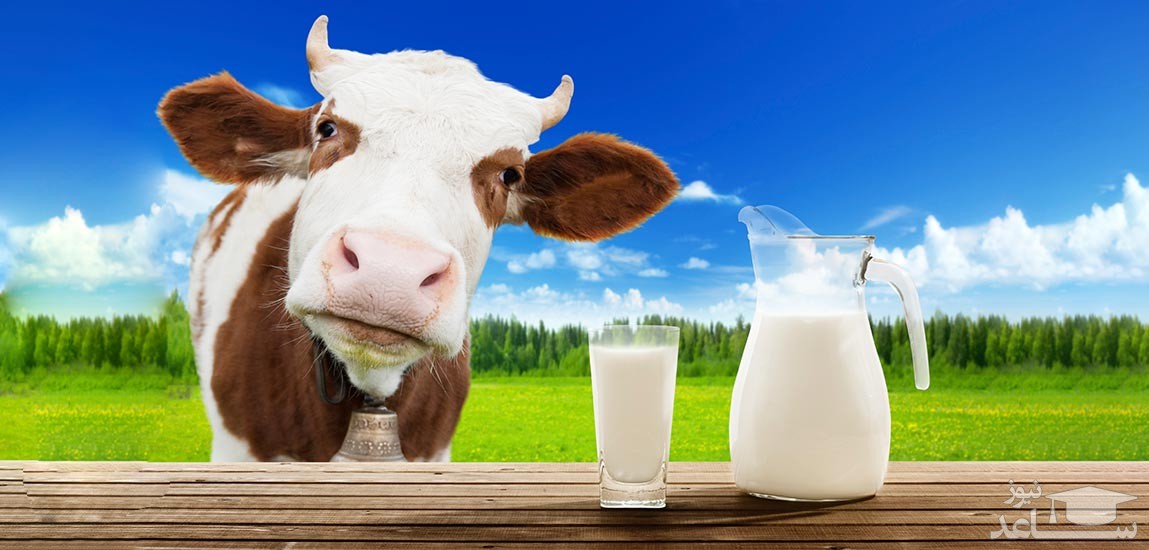 روش درمان حساسیت نوزاد به شیر گاو