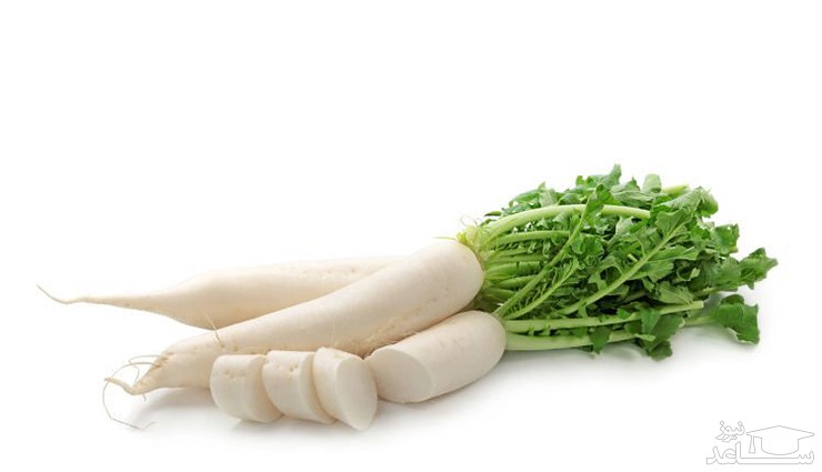 با فواید و مضرات ترب بیشتر آشنا شوید