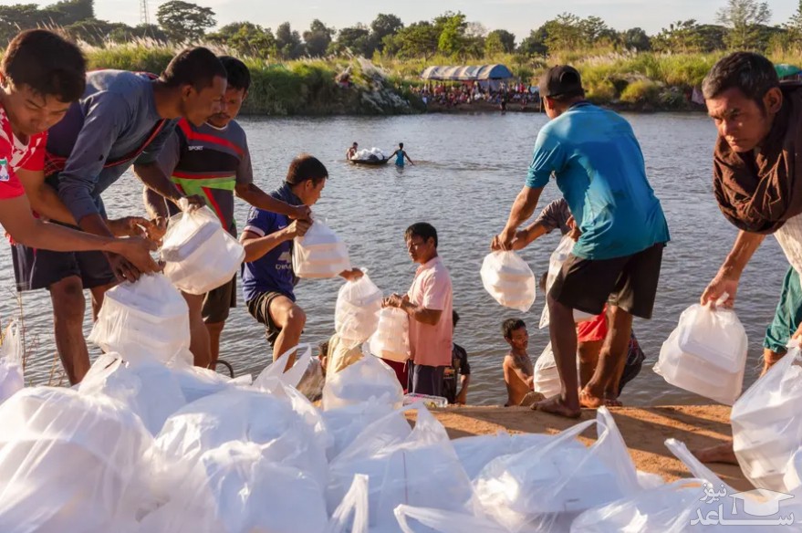 توزیع غذا در بین پناهجویان میانماری در حاشیه رود "مویی" در تایلند/ SOPA