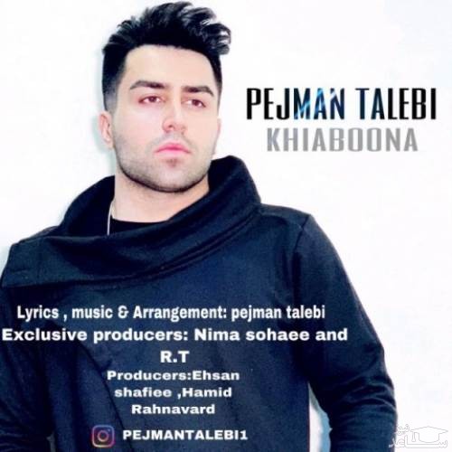 دانلود آهنگ خیابونا از پژمان طالبی