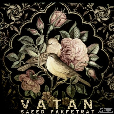 دانلود آهنگ وطن از سعید پاک فطرت