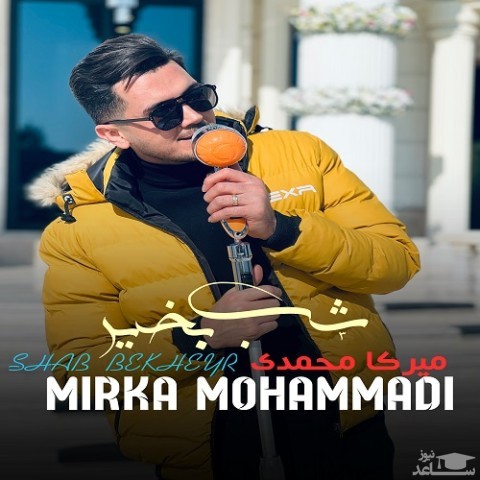 دانلود آهنگ شب بخیر از میرکا محمدی