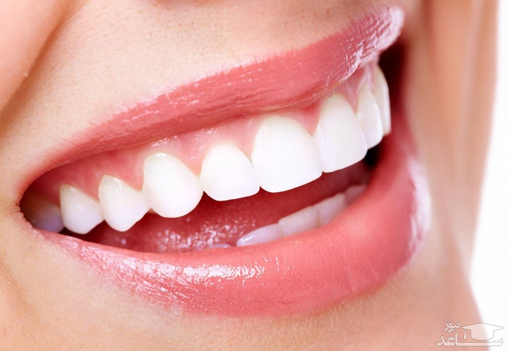 متخصص ارتودنسی و دندانپزشک چه شباهت ها و چه تفاوت هایی دارند؟
