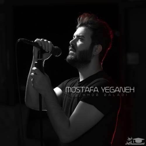دانلود آهنگ تو خوب بلدی از مصطفی یگانه