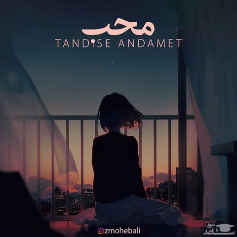 دانلود آهنگ تندیس اندامت از محب