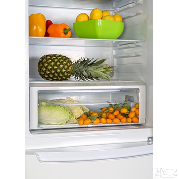 فضای داخلی یخچال سام مدل RL460