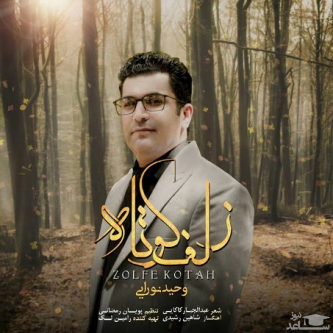 دانلود آهنگ زلف کوتاه از وحید نورایی