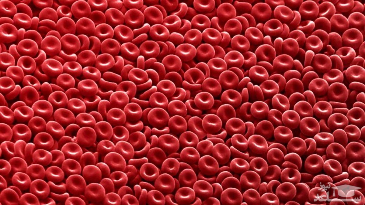 افزایش گلبول های قرمز خون و نکات مهم درباره آن