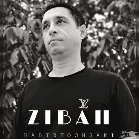 دانلود آهنگ زیبایی از حبیب کوهساری