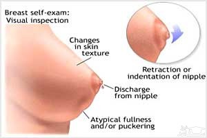 حقایقی در مورد نوک سینه زنان که ممکن است ندانید !
