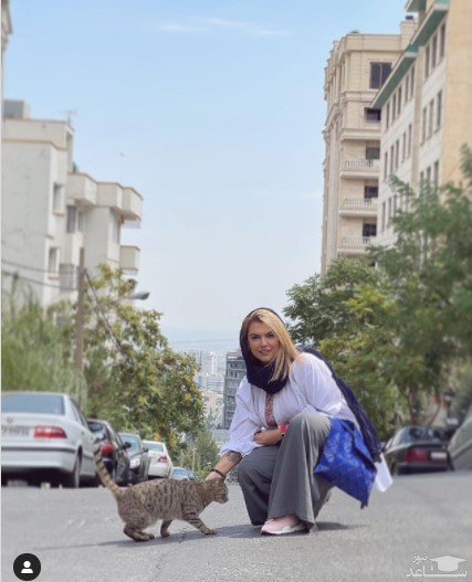 دنیا مدنی و گربه خیابانی
