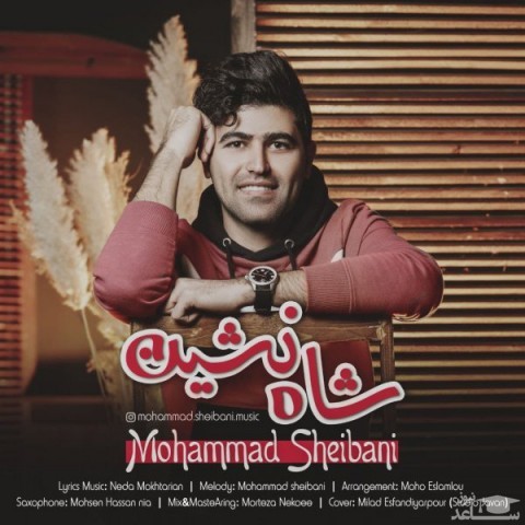 دانلود آهنگ محمد شیبانی شاه نشین از محمد شیبانی