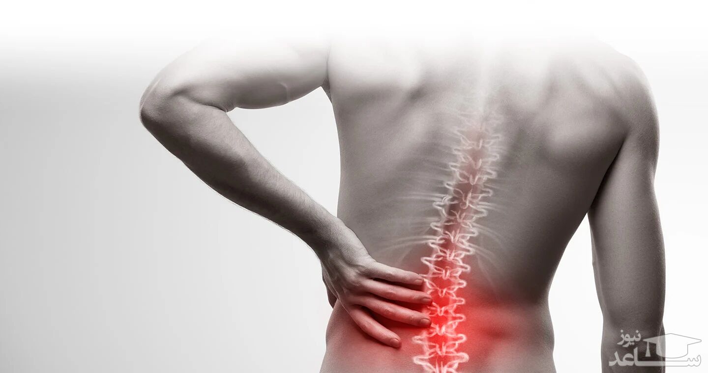 8 مورد از بهترین روغن برای دیسک کمر