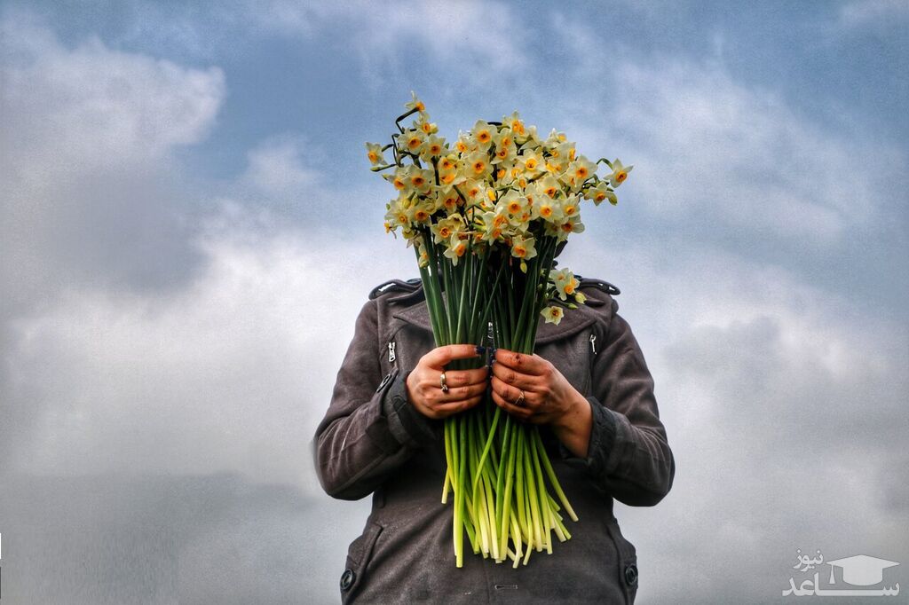 دیدنی های امروز یکشنبه 4 دی 1401