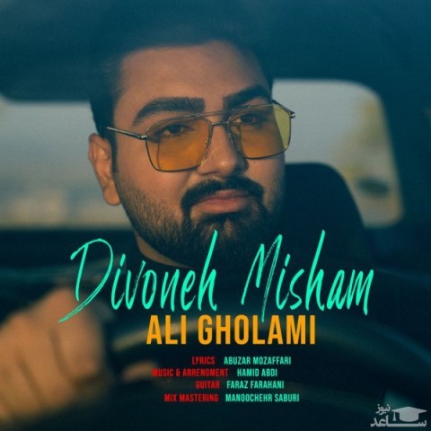 دانلود آهنگ دیوونه میشم از علی غلامی