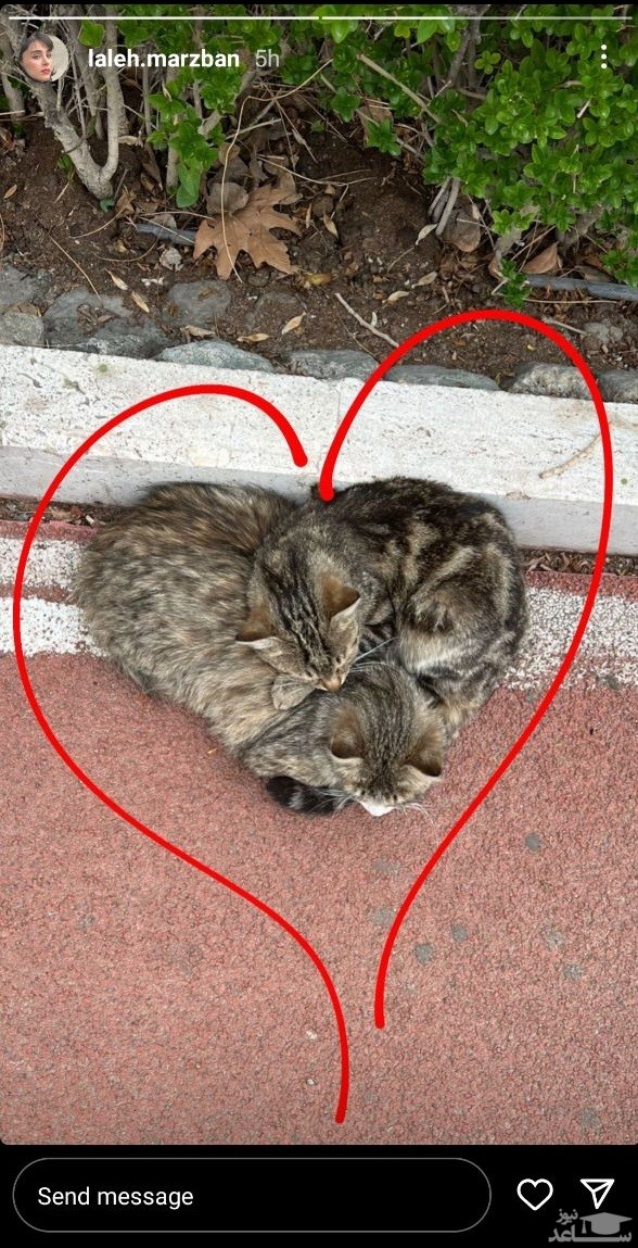 لاله مرزبان