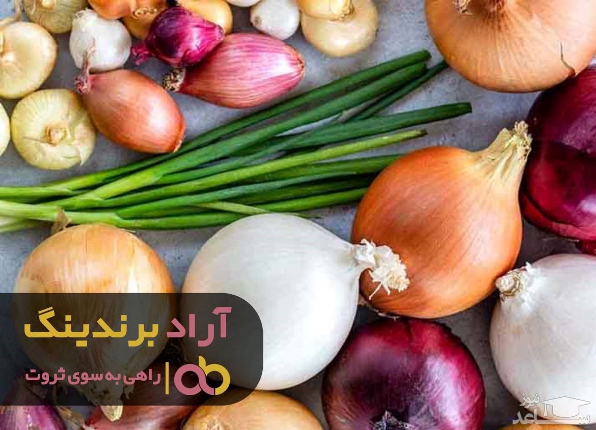 روش صحیح پیوند پیاز