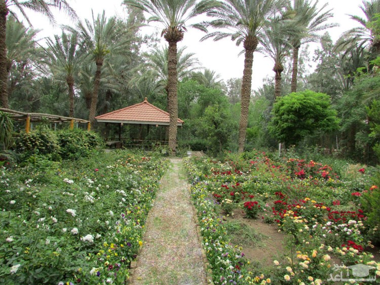 معرفی جاذبه های گردشگری و جاهای دیدنی بافق