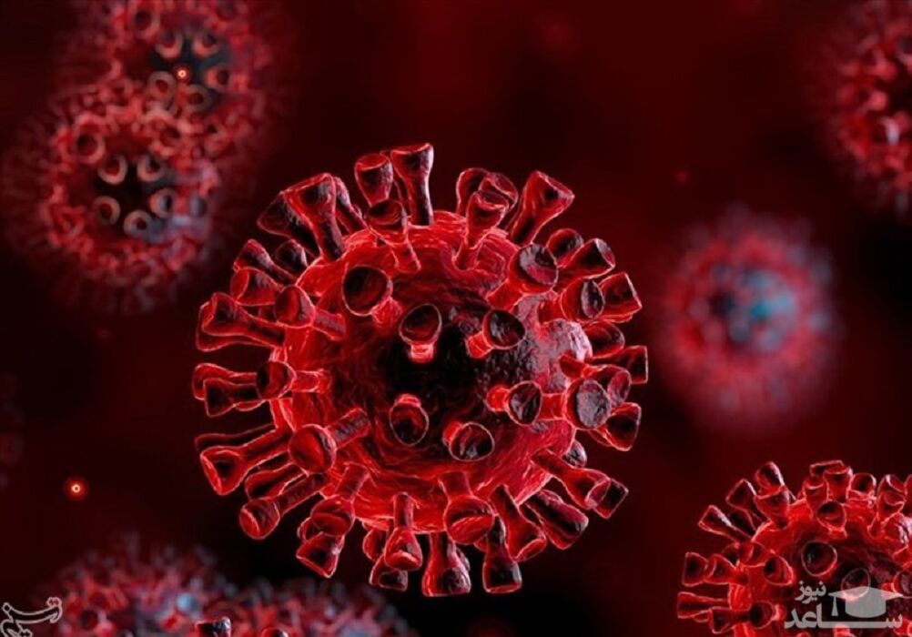 کروناویروس جهش‌یافته حاکم جهان شده است