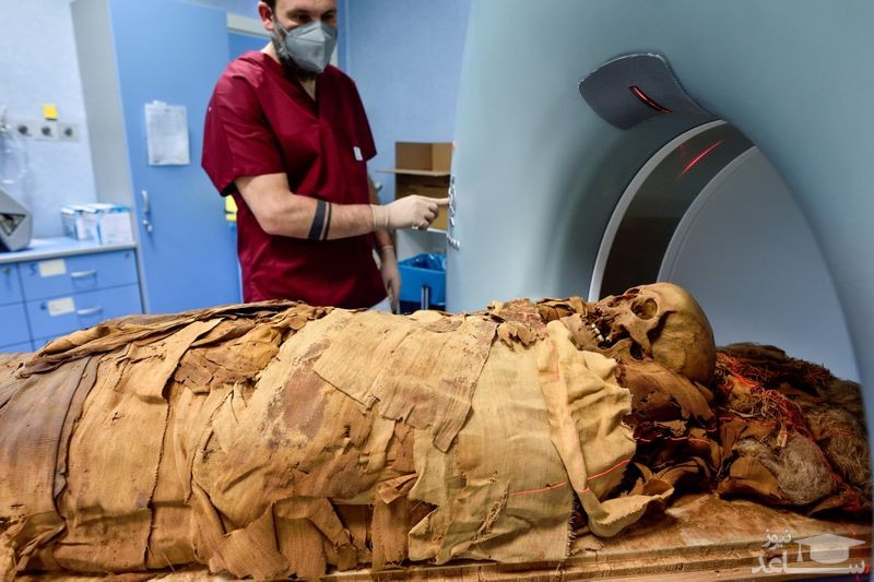 انجام سی تی اسکن از یک مومیایی مصری 