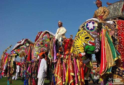 فیل سواری مردم هند