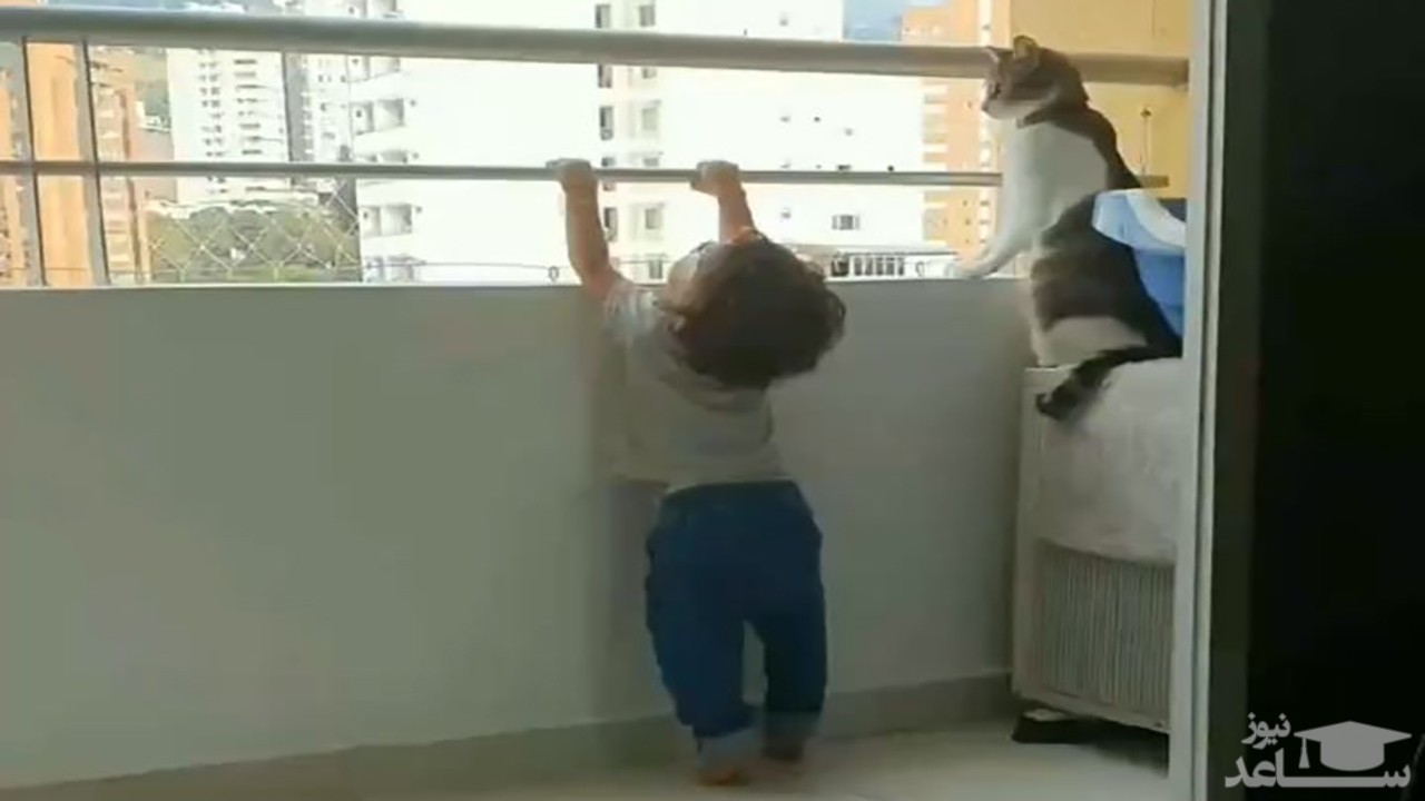 (فیلم) مواظبت یک گربه باهوش از کودک خردسال 