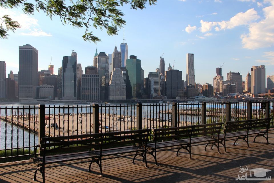 بروکلی هیتز