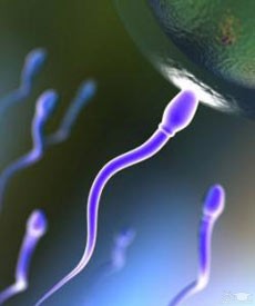 دانستنی هایی درباره اسپرم مردان