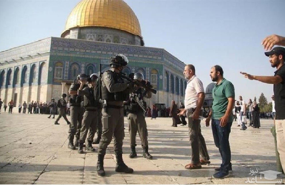 ( فیلم ) طناب‌زنی جوان فلسطینی مقابل اشغالگران!