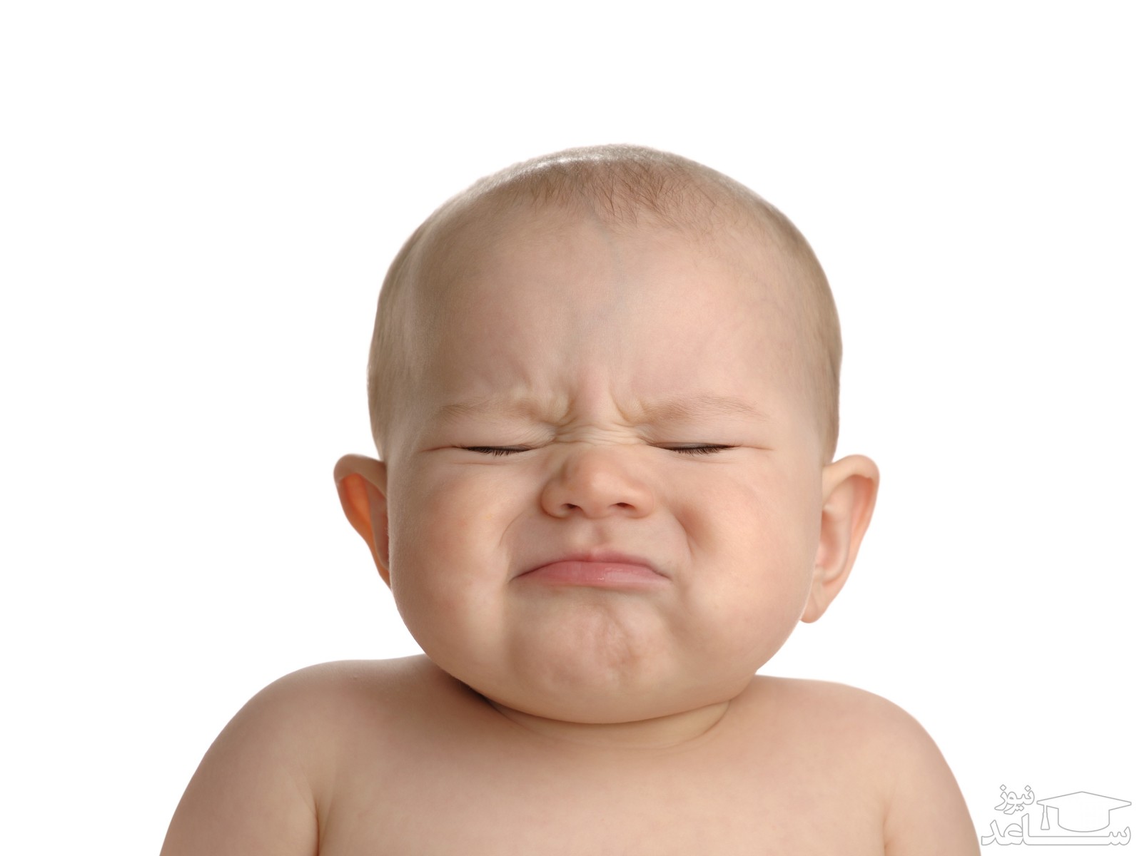 میزان و نحوه مصرف دینه برن