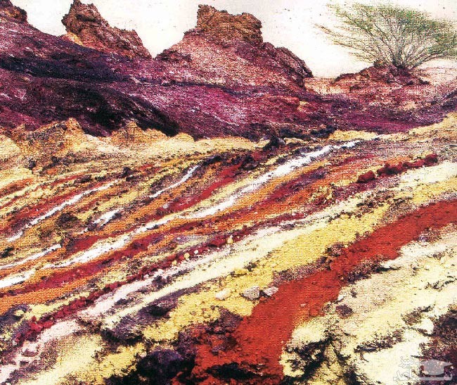 (فیلم) پشت پرده فروش خاک ایران