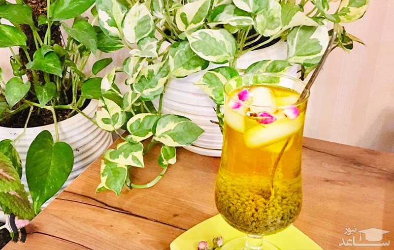 روش تهیه شربت زعفران با تخم شربتی