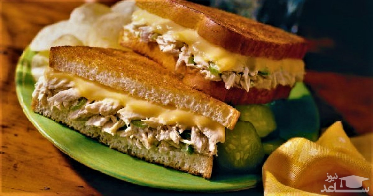 ساندویچ تن ماهی با پنیر و ترخون