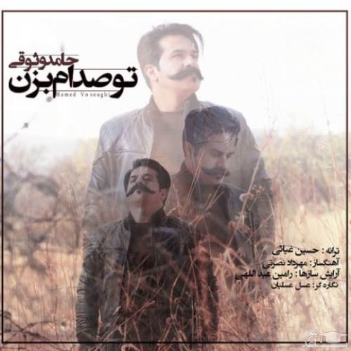 دانلود آهنگ تو صدام بزن از حامد وثوقی