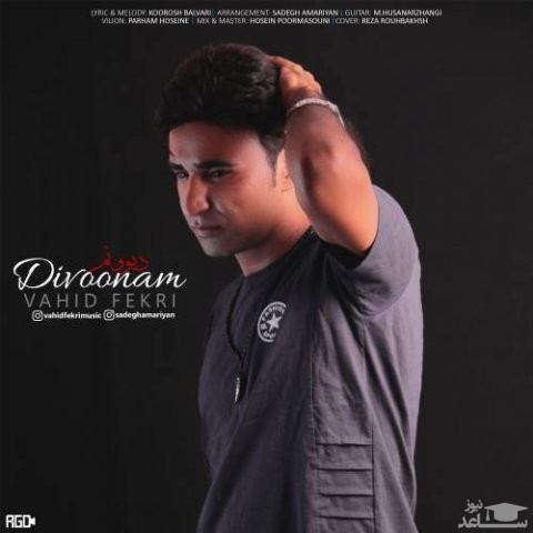 دانلود آهنگ دیوونم از وحید فکری