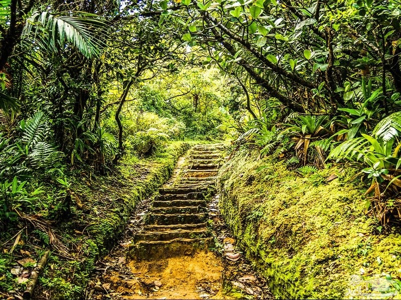 پارک ملی کابریت دومینیکا