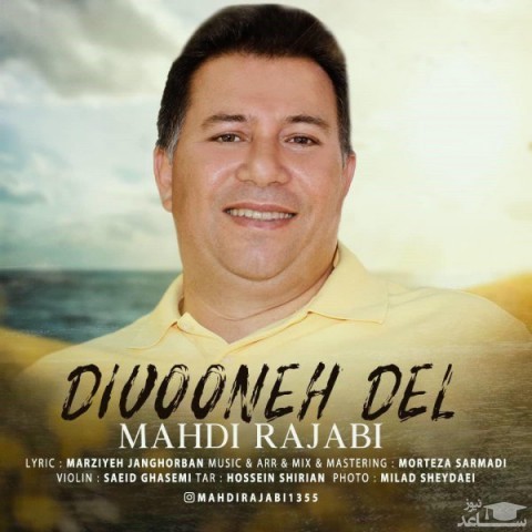 دانلود آهنگ دیوونه دل از مهدی رجبی