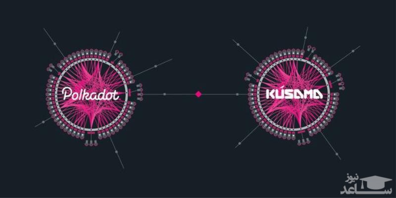 چگونه در مزایده پاراچین کوساما و پولکادات شرکت کنیم؟